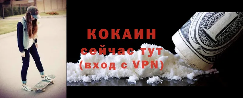 COCAIN Боливия  где купить наркоту  Велиж 